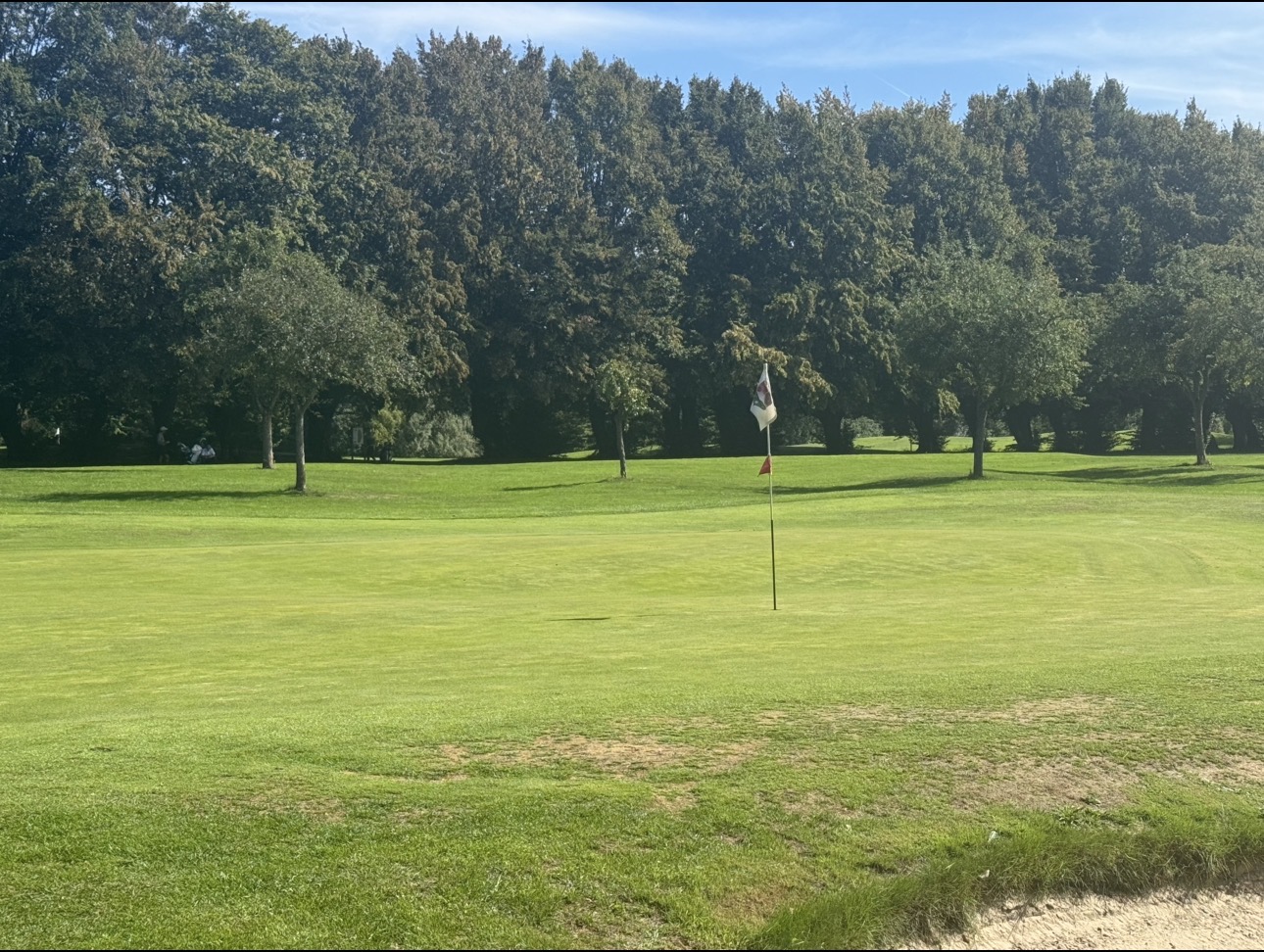 Un green de golf avec son drapeau, borde d'arbres, en fin de matinee